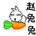 赵兔兔🥕