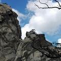 大别山庭庭@
