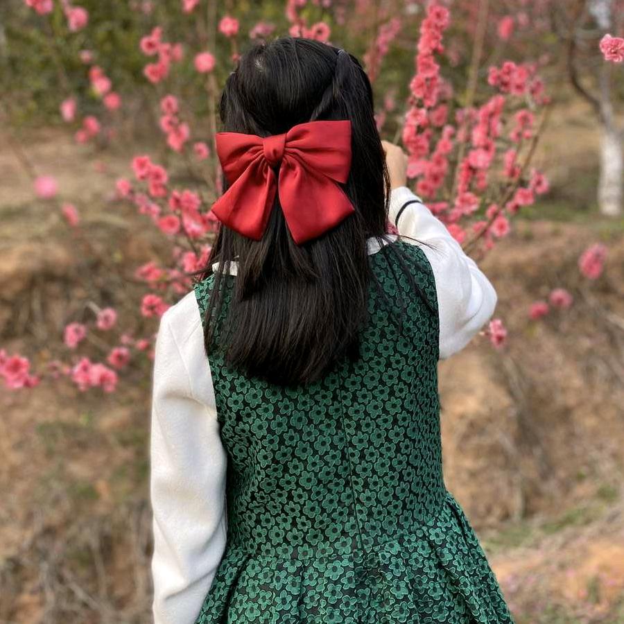 杨杨