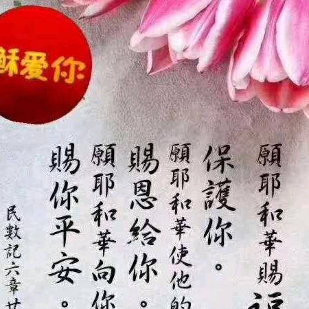 做时代的见证人(杨红敏）