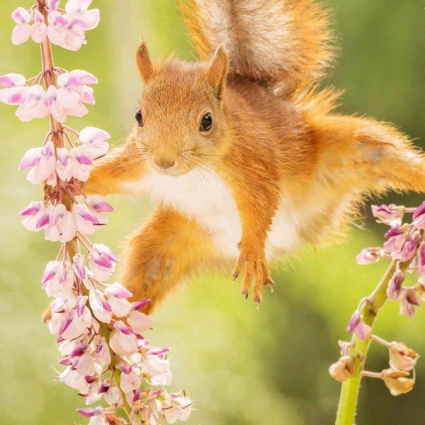 耀州窑秘色青瓷