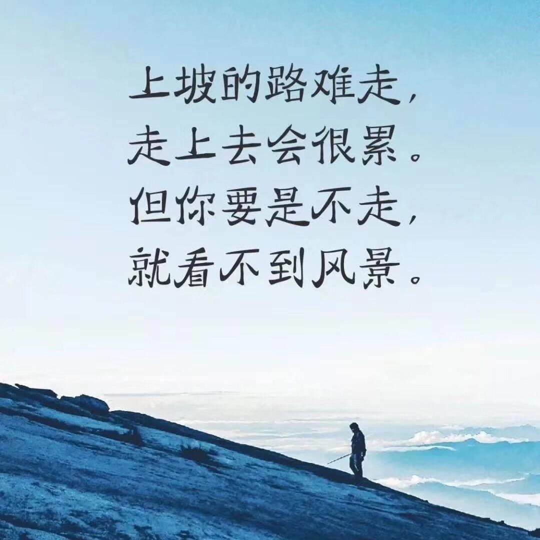 鹏哥💢💢💢