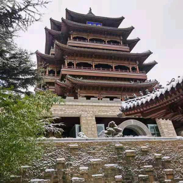 看花看海王胖胖