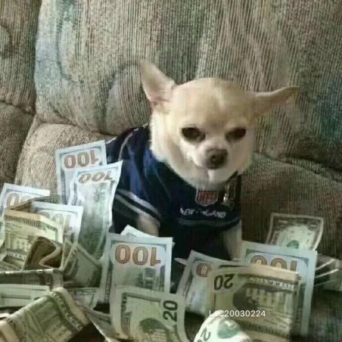 可爱小肉包🇨🇳