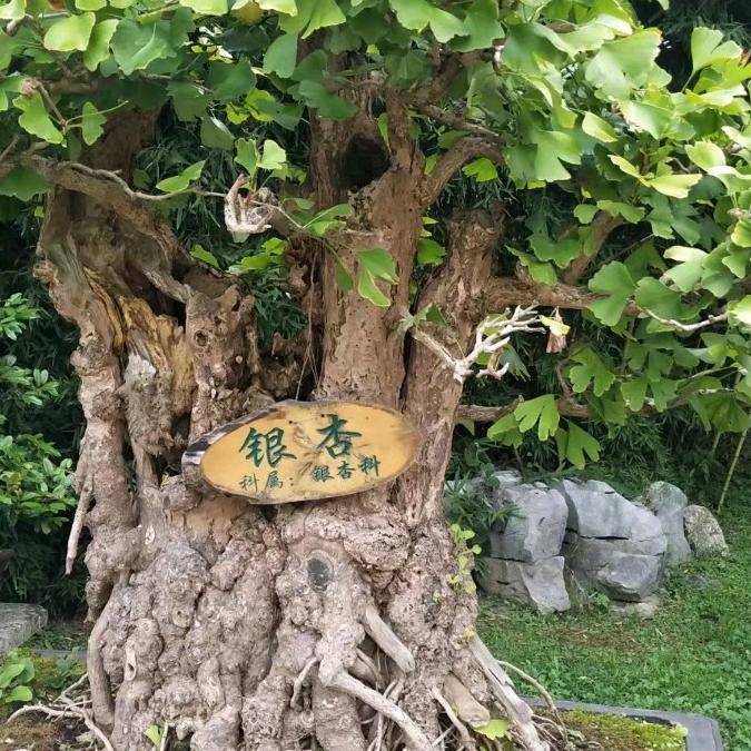 温柔如水