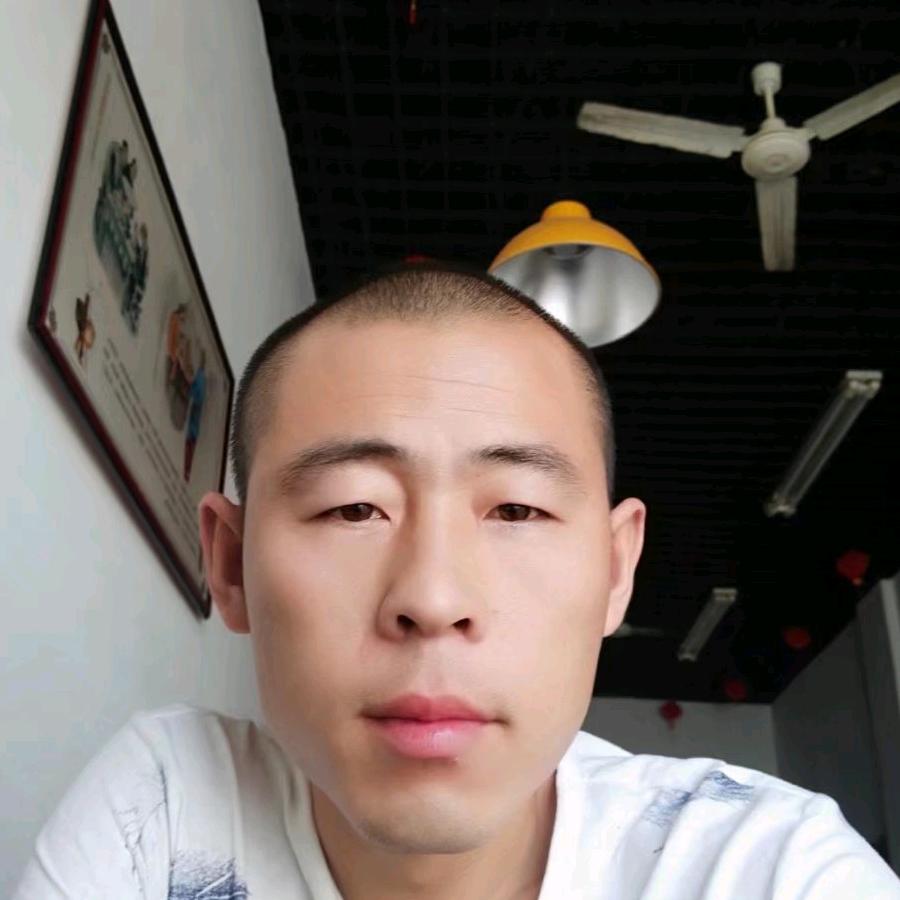 信鸽王子一一一猪猪侠