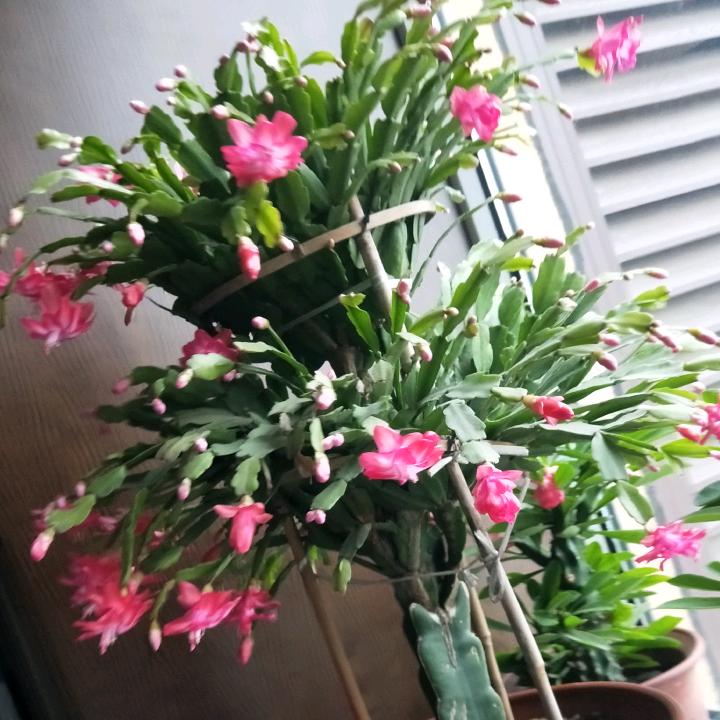 努力奋斗的老韩