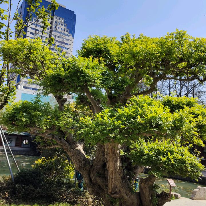开开心心过好每一天