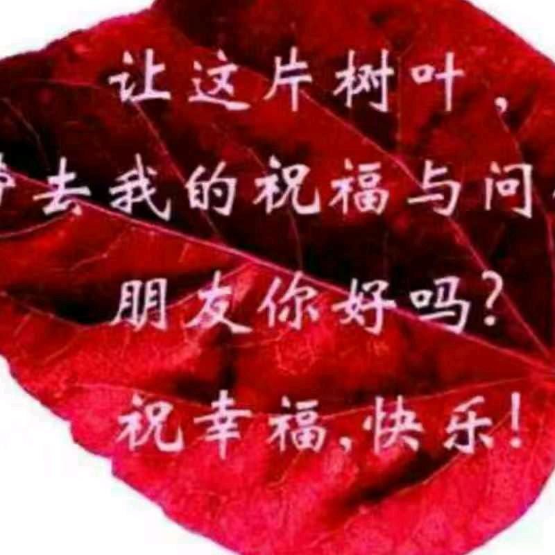 守候一生