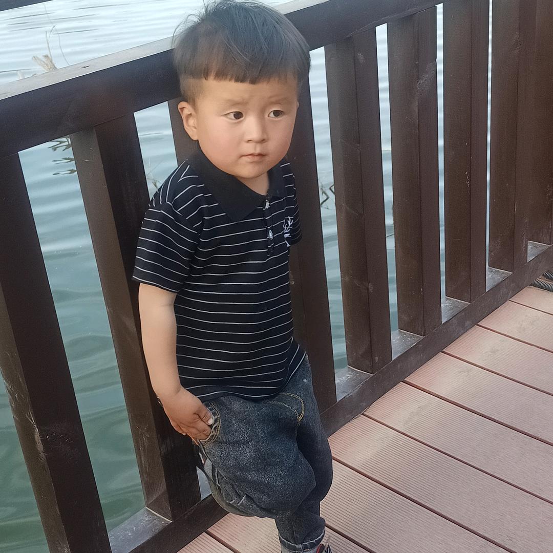 沙漠里的胡杨