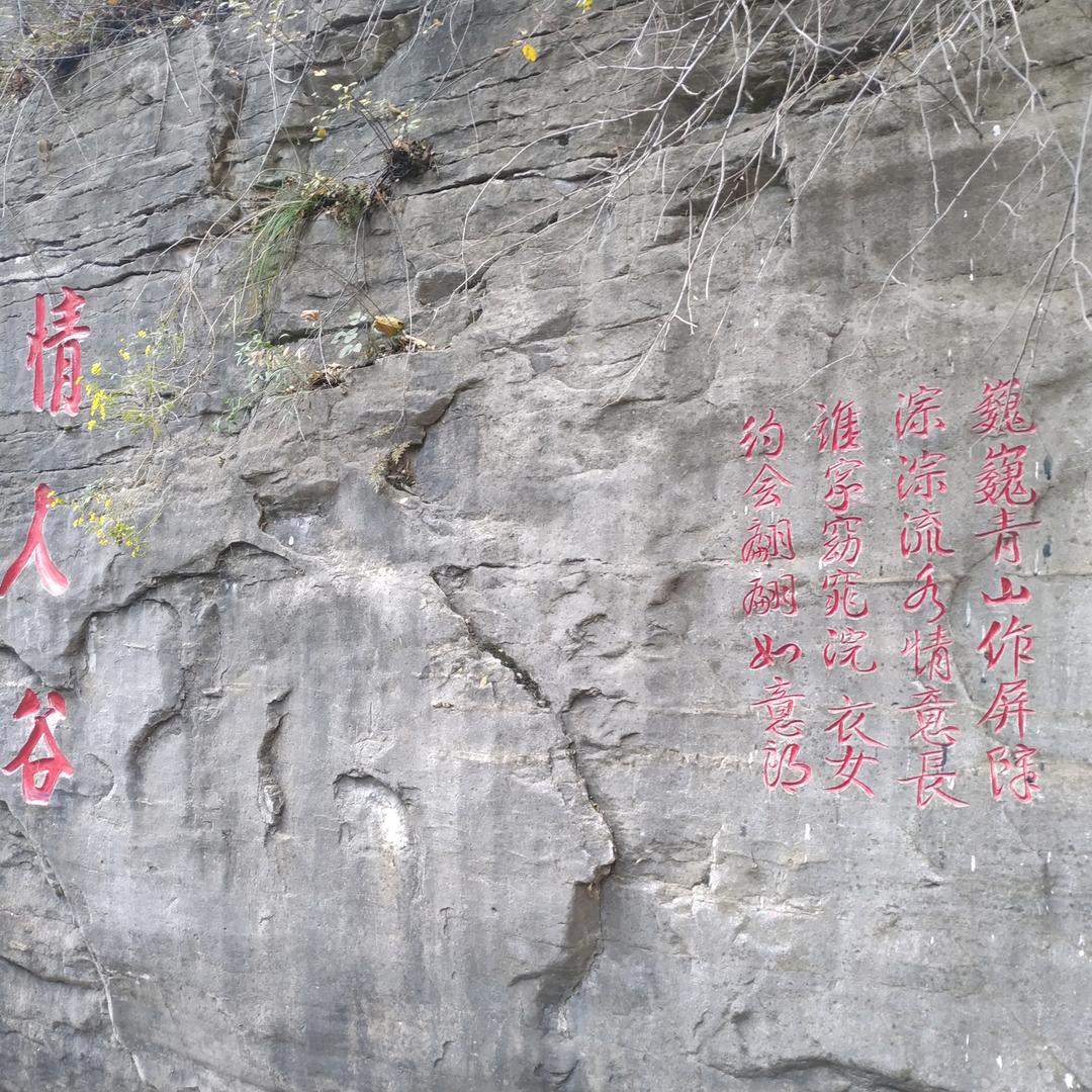 ☀️木木💫  ✨现代新鑫家装