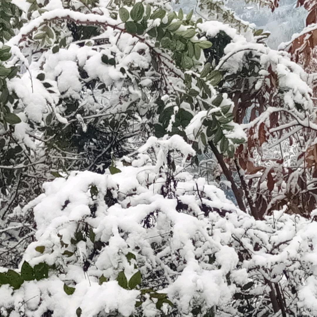 @有缘无分ꦿএ᭄゛：@༄༊