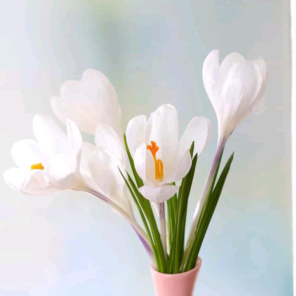 人在旅途〈休闲娱乐〉