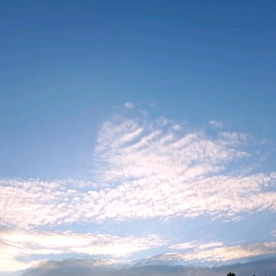 小鹿