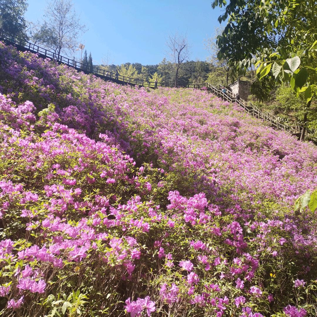 用户7115658553273自由自在