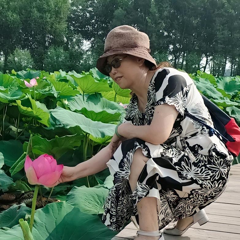 白杨树