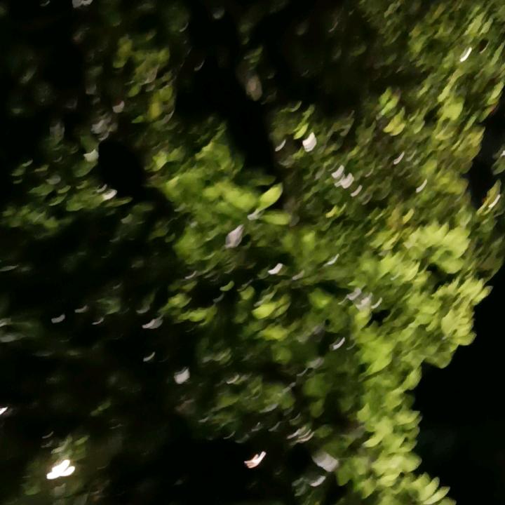 美凤凰