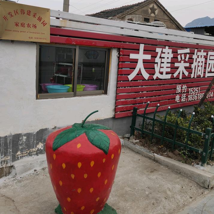 大建采摘园