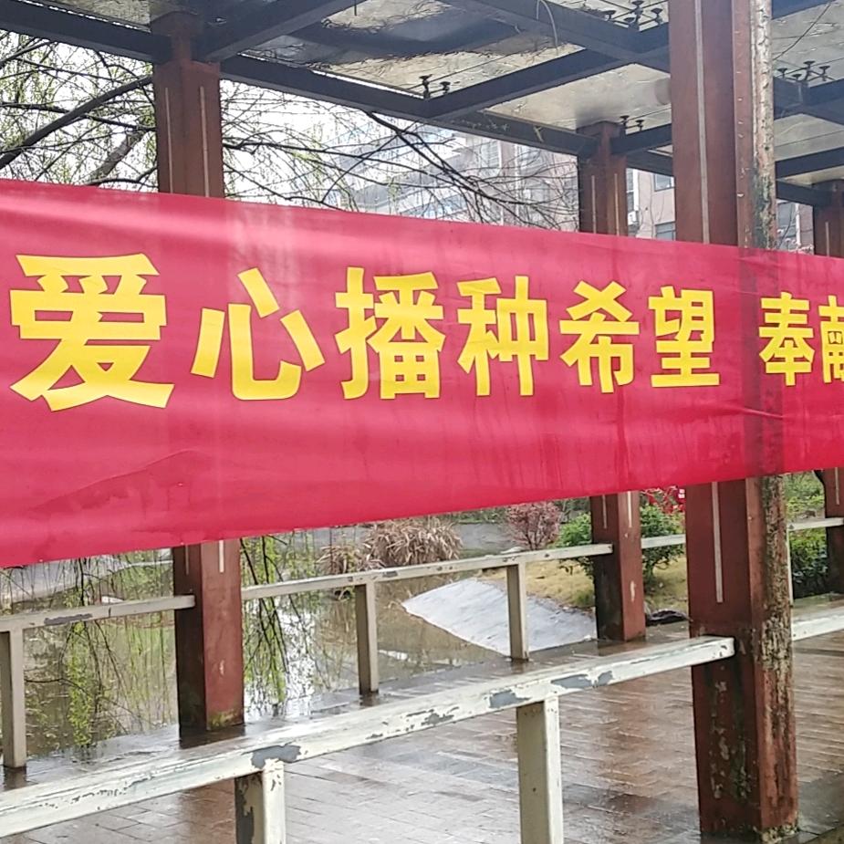 鱼木杰