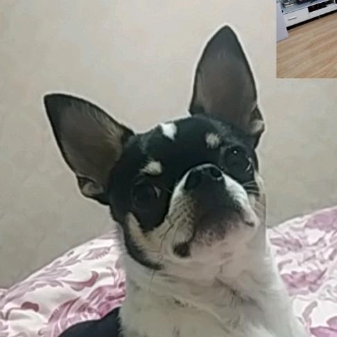 美丽说