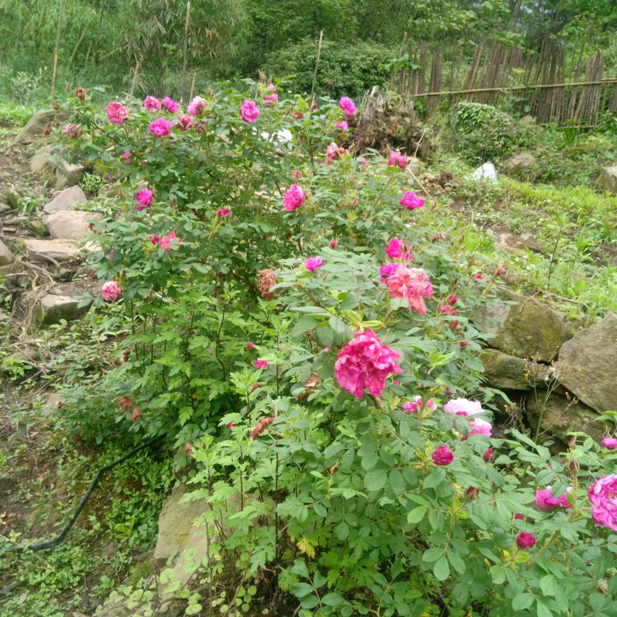 有缘来相会