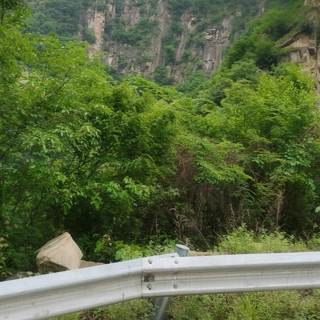 云淡风轻