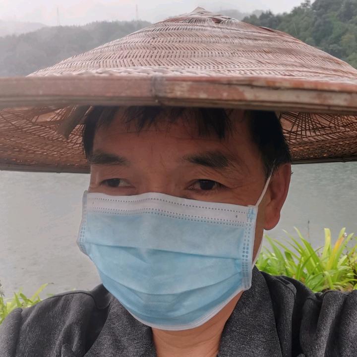 胡萝卜
