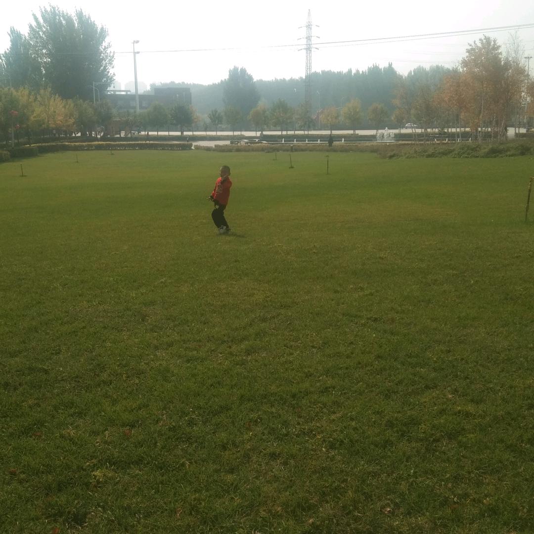 向日葵🌻🌻🌻