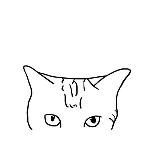 猫十一摄影工作室