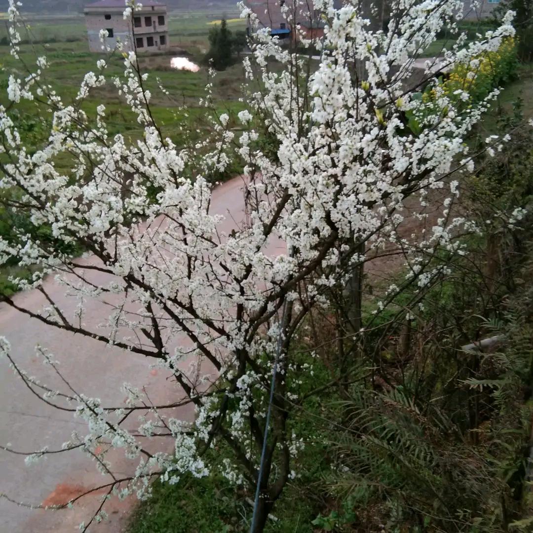 六零后王姐
