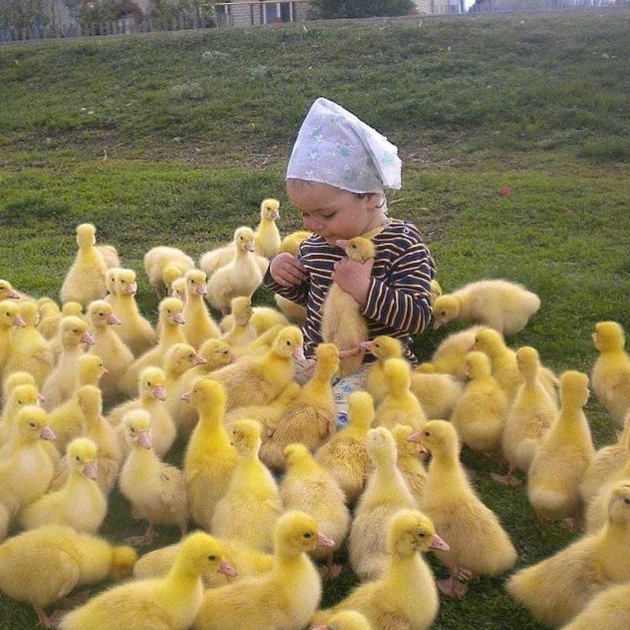 春艳