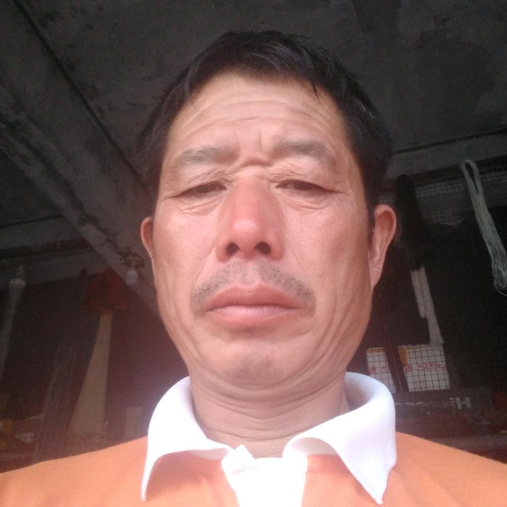 天天有鱼