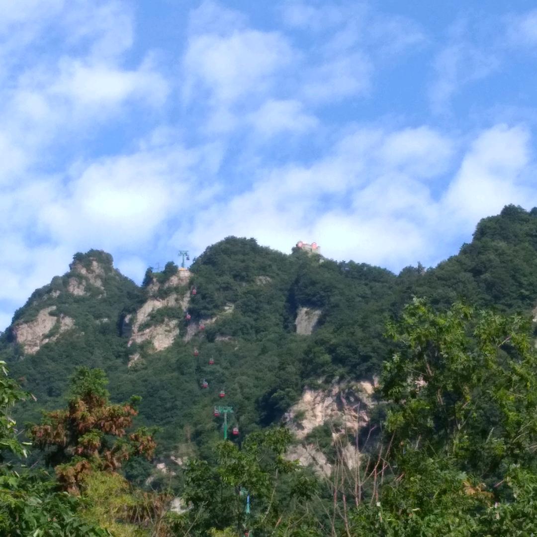 登高望美（互）