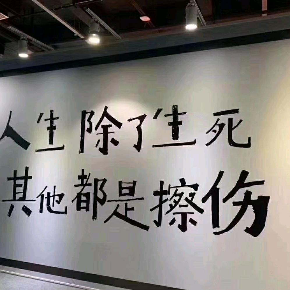 安虎虎