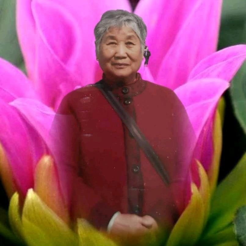 阳光下的向日葵