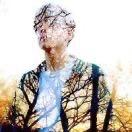 暴走中无边沙漠