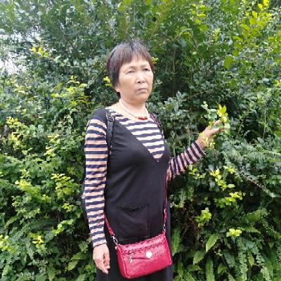 李五姐头像