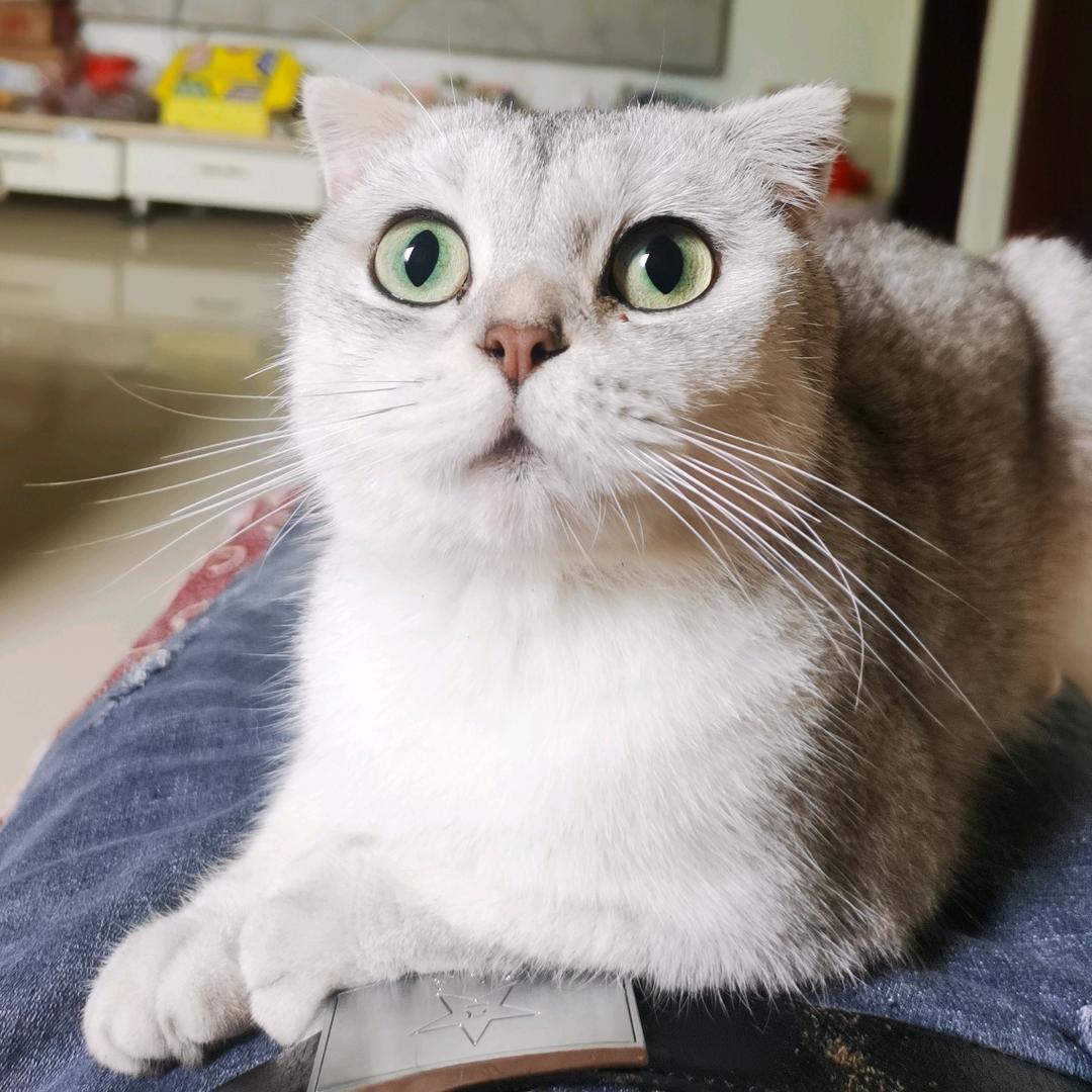 强^_^
