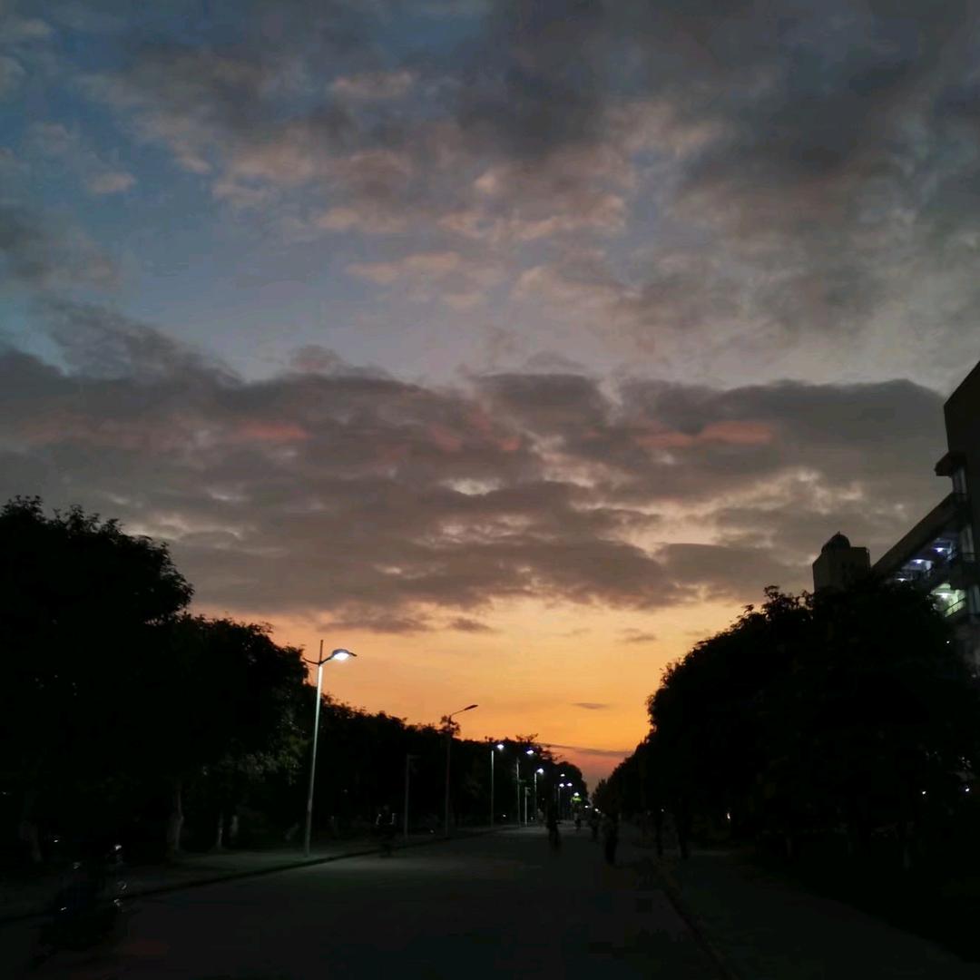 陌殇