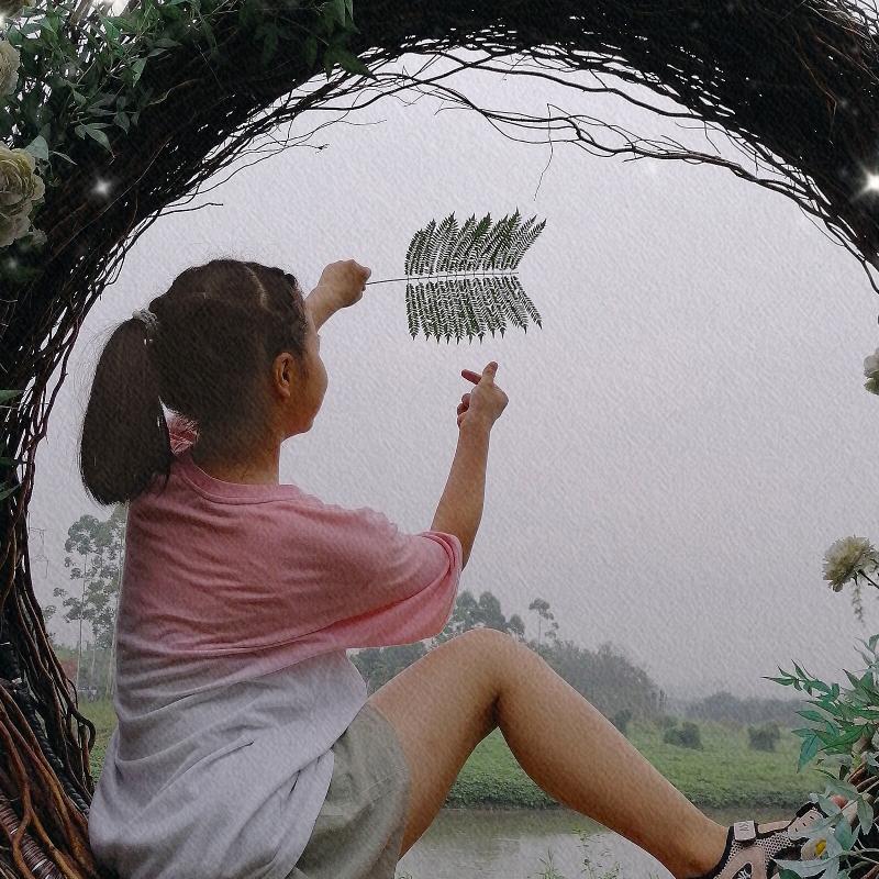 奶茶妹妹