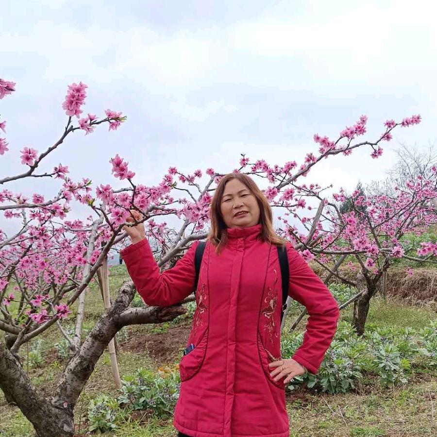 桃花故里