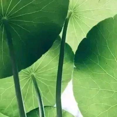 天行