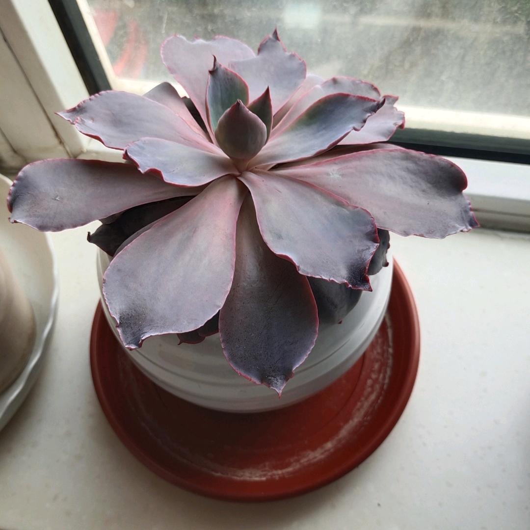 最爱美丽的霞。。