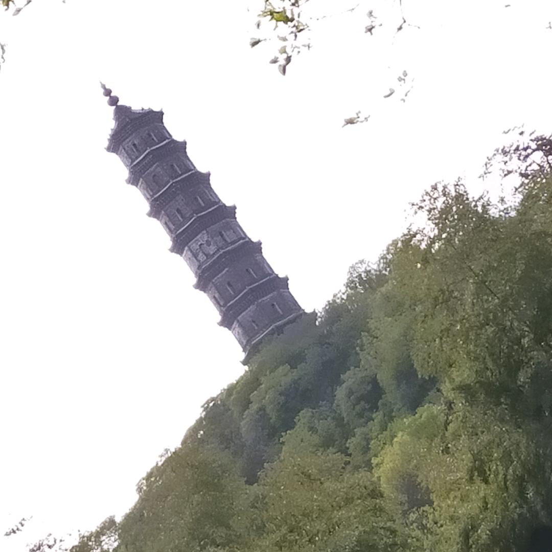 浦公英