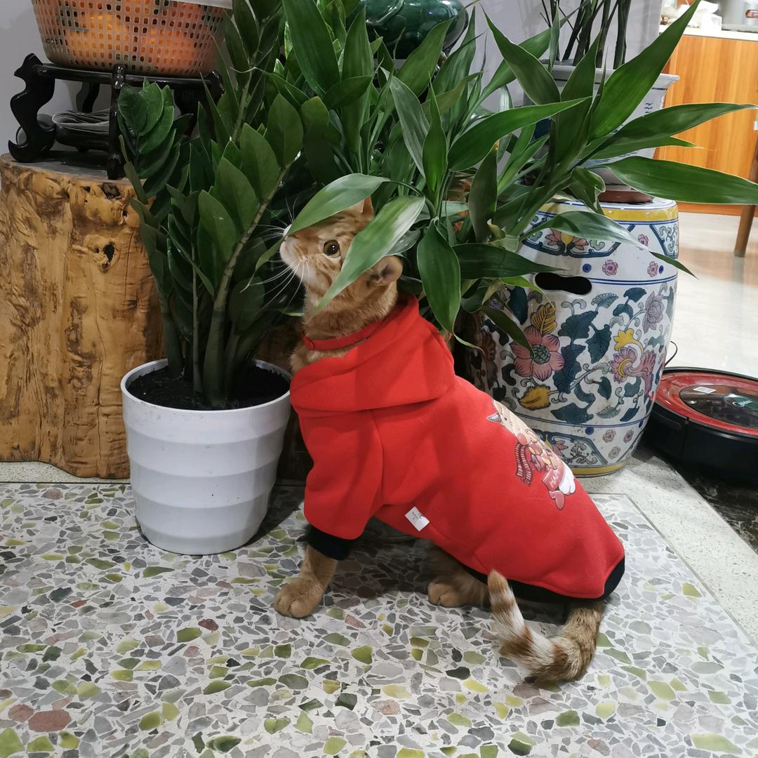 斌妮妹