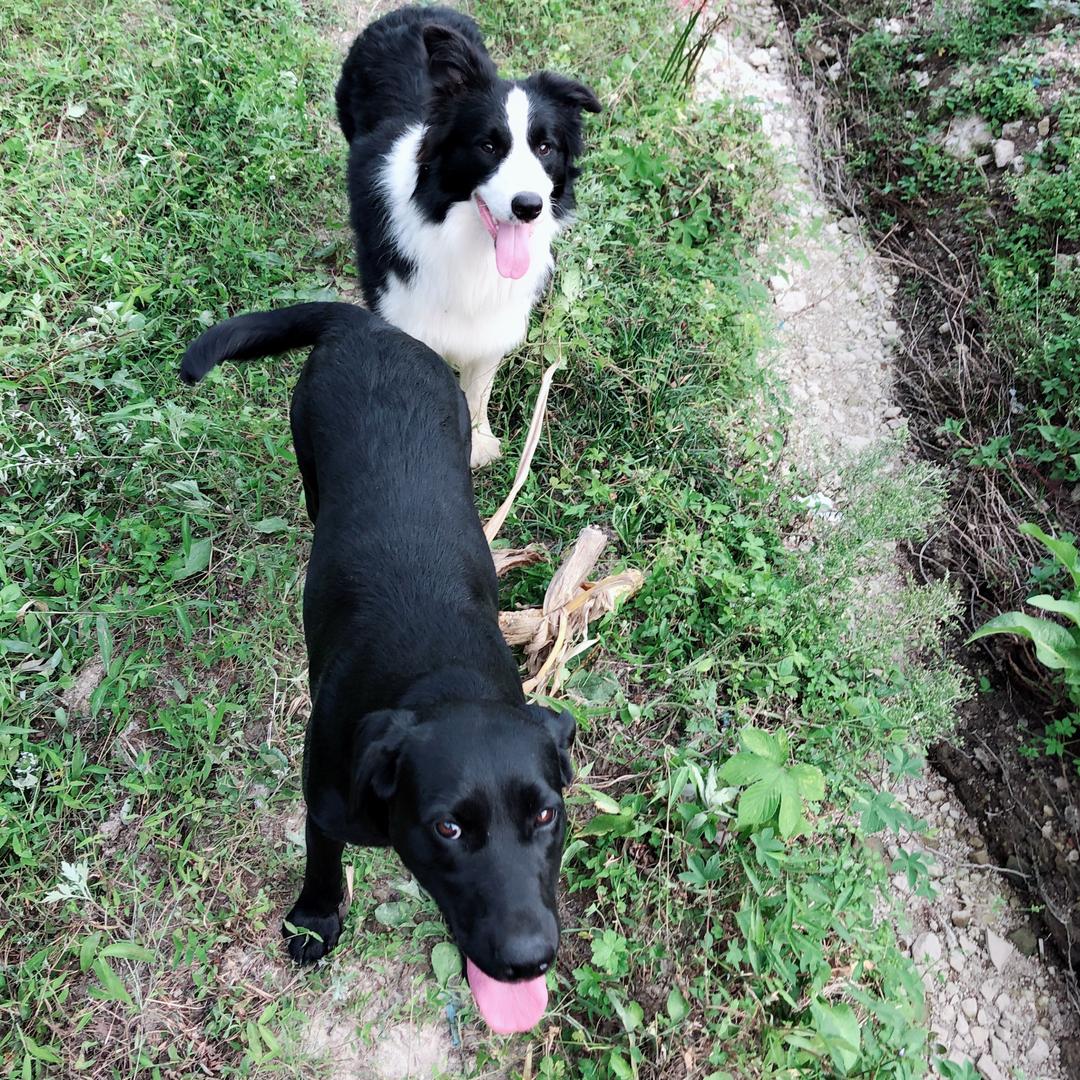 张杰的青梅竹马