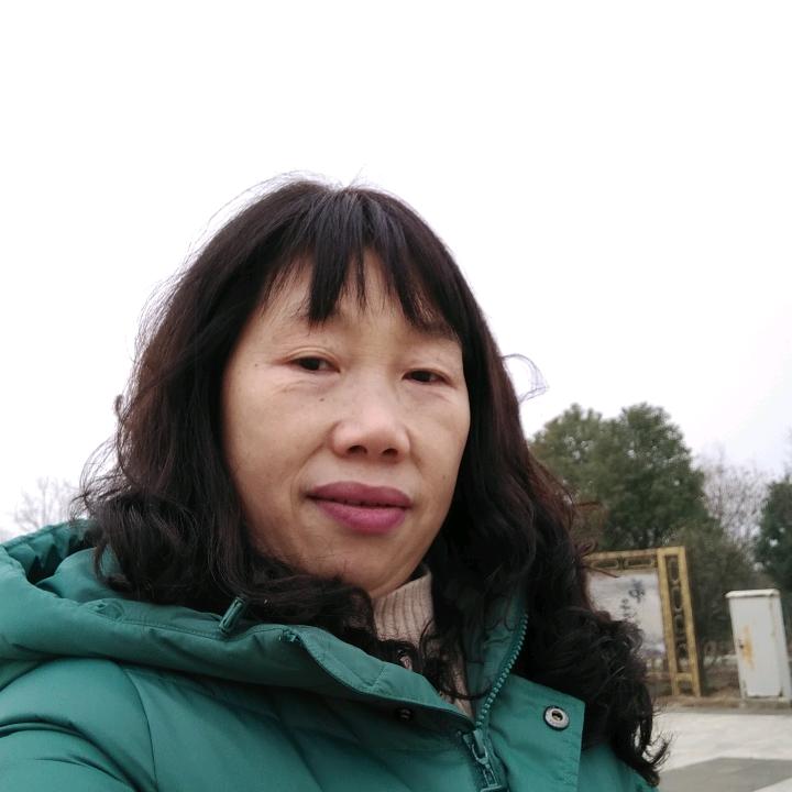 文文
