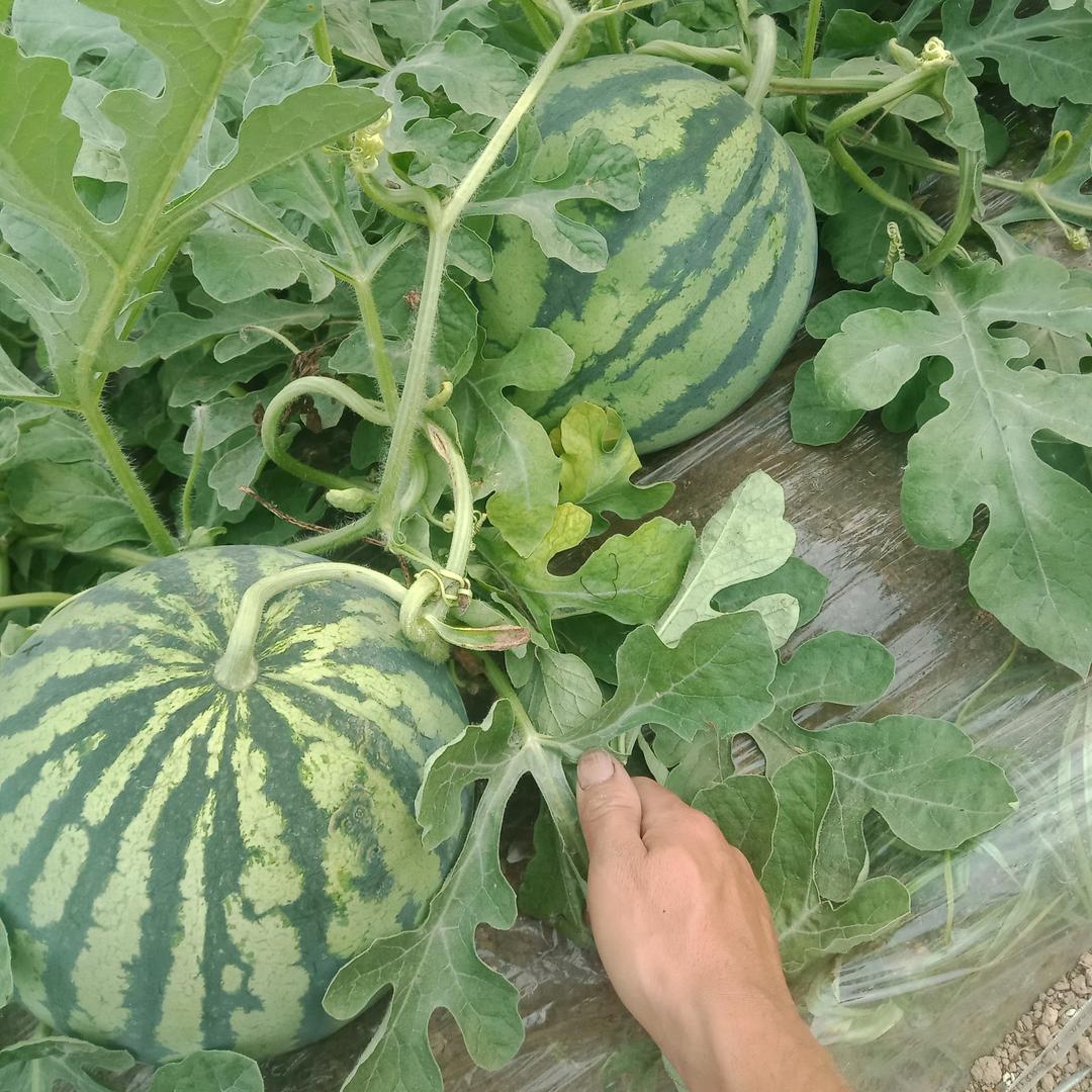 ☾⋆今生⁵²º᭄๓遇见¹³¹⁴₅₂₀