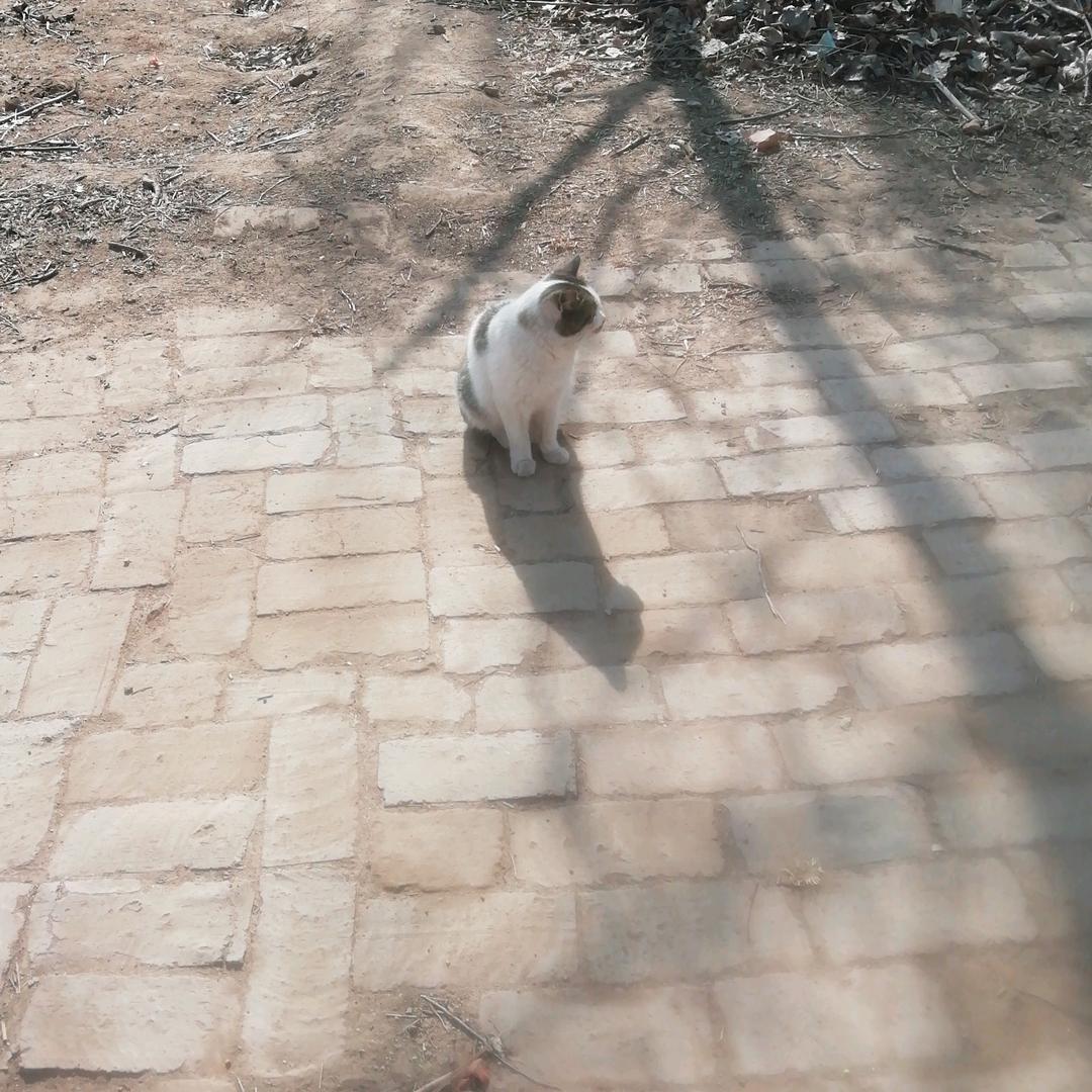 开开心心快快乐乐892