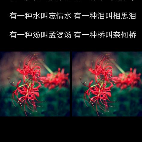雨